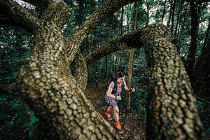 BIB: 
                            <button type="button" onclick="openModal(25393086)" class="btn btn-primary btn-sm float-right btn-popup" data-toggle="modal" data-target=".modal-high-quality">
                        <i class="fas fa-shopping-cart"></i> Add to Cart
                    </button>
                                            <button type="button" onclick="isThisMe(25393086, true)" class="btn btn-success btn-sm float-right btn-popup btn-isme hidden" data-toggle="tooltip" data-placement="bottom" title="นี่คือรูปของคุณใช่ไหม คลิกที่นี่เพื่อเอาเข้าอัลบั้ม">
                        <i class="fas fa-plus"></i> Add to album
                    </button>
                    <button type="button" onclick="isThisMe(25393086, false)" class="btn btn-warning btn-sm float-right btn-popup btn-isnotme hidden">
                        <i class="fas fa-ban"></i> Remove from album
                    </button>